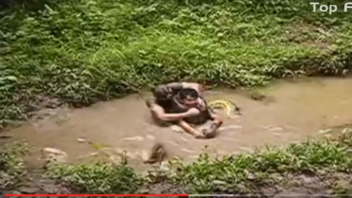Shocking anaconda attacks against humans (warning: graphic video)